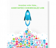 assistant_commercial_web