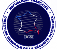 logo_dgsi