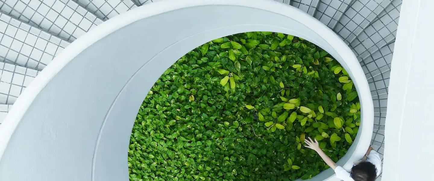 économie circulaire
