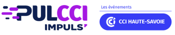 PULCCI_IMPULS